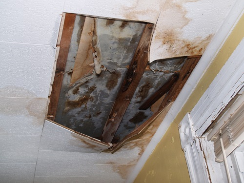 Mold inspection and testing Scottsdale AZ
